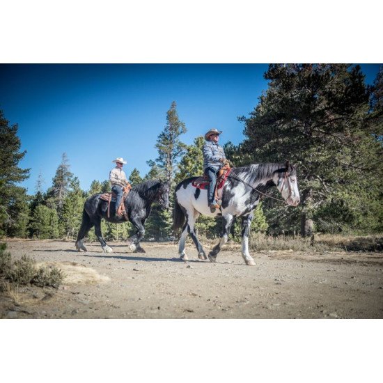 Helikon-Tex® DEFENDER Mk2 Shirt long sleeve® - PolyCotton Ripstop - Πουκάμισο